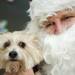 Ypsilanti resident Annie Murray, three, is photographed with santa on Saturday. Daniel Brenner I AnnArbor.com